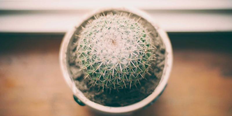 南通润宝40：深耕船舶维修与海洋工程建造，铸就海洋产业卓越品牌