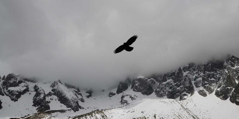 南通润宝41：深耕海洋工程全产业链，铸就船舶与海洋装备服务卓越品牌