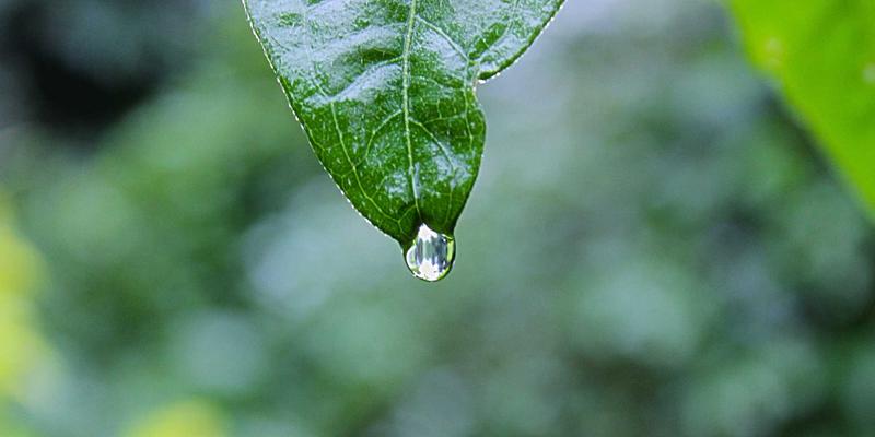 南通润宝46:深耕船舶服务与设备供应,赋能现代海洋工程新篇章