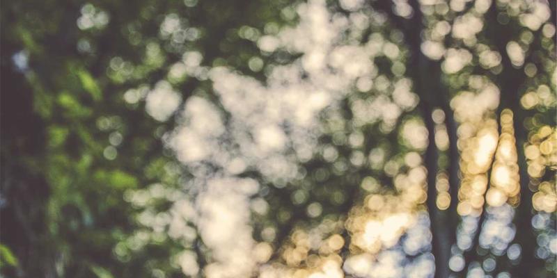 南通润宝4:技术咨询如何赋能船舶服务与海洋工程新发展