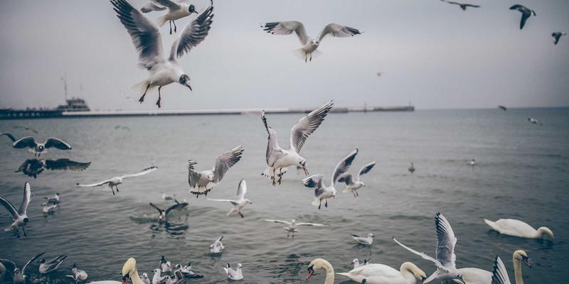 南通润宝90：深耕海洋工程领域，以专业技术咨询赋能蓝色经济发展