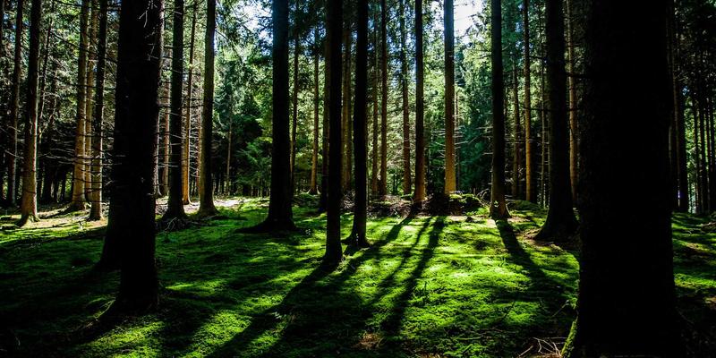 南通润宝技巧：专业船舶维修与服务的全方位技术解决方案