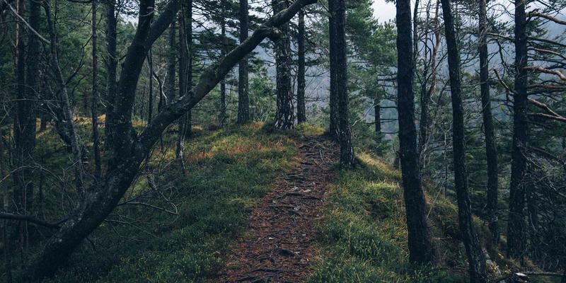 南通润宝：技术咨询与设备供应如何赋能重大海洋工程项目