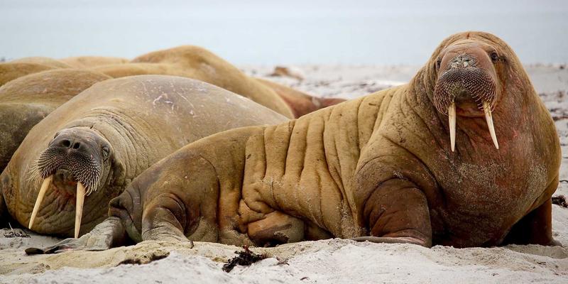 南通润宝海洋工程起重设备专业维护与负载测试全解析：保障平台吊与船用克令吊安全高效运行