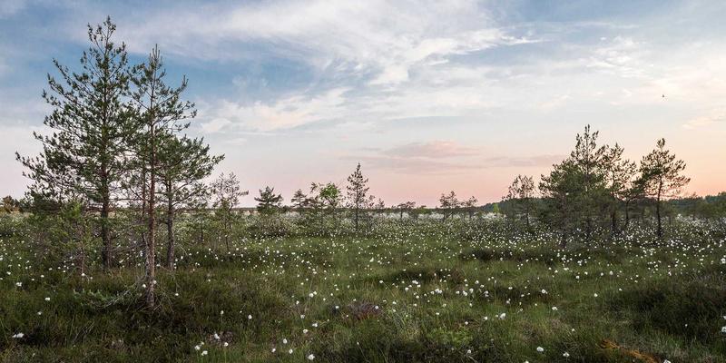 海洋工程电缆铺设与连接技术解析：南通润宝的专业技术咨询与设备供应支持