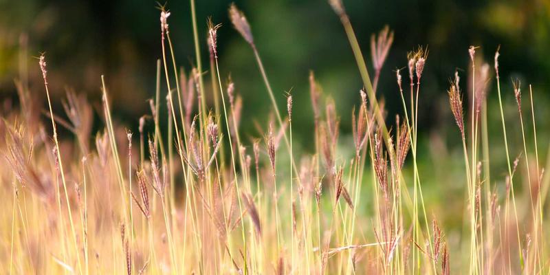 船舶主机与辅机SCR系统改造：一站式技术咨询与设备供应解决方案